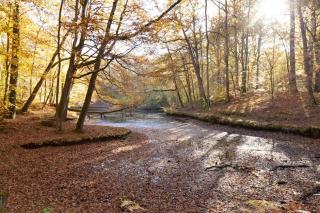 Paroisse rambouillet en sud Yvelines : tourisme et découvertes