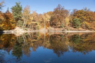 Wafu rambouillet en sud Yvelines : tourisme et découvertes