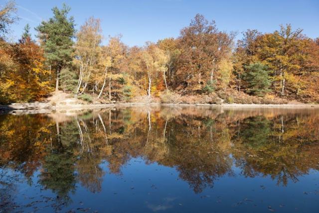 Wafu rambouillet : tourisme sud Yvelines