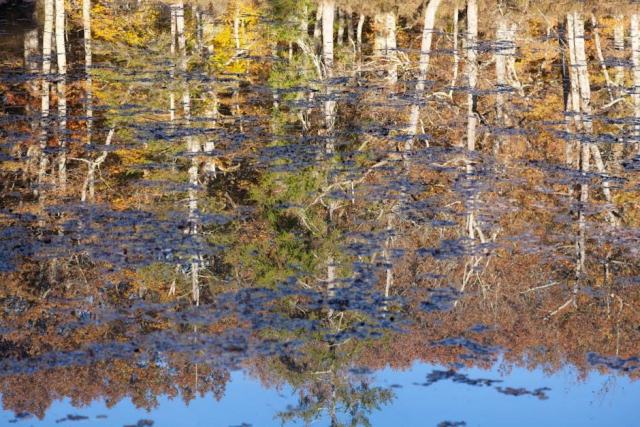 Boulangerie rambouillet : tourisme sud Yvelines Boulangerie rambouillet : tourisme sud Yvelines