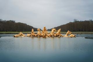 Rambouillet forest en sud Yvelines : tourisme et découvertes