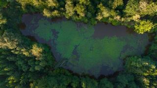 Étangs de Hollande, base de loisirs en forêt de Rambouillet