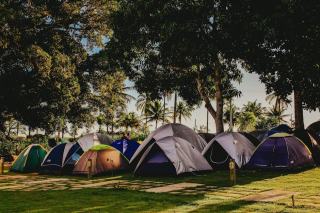 Camping rambouillet en sud Yvelines : tourisme et découvertes