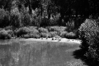 Rigoles du roi à Rambouillet, d'où venait l'eau de Versailles